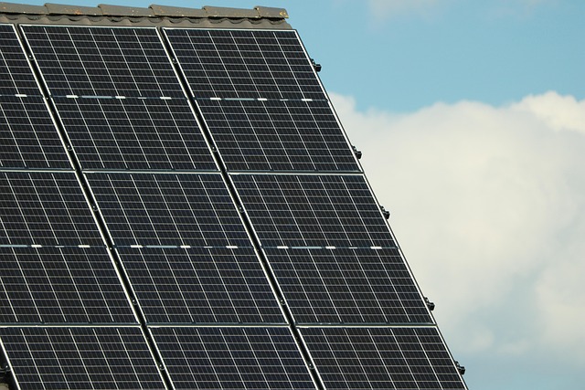 energy efficiency specialist consulting on autonomous home systems and solar panels